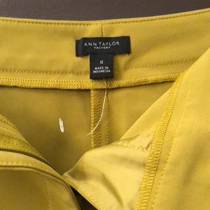 Gaucho pants nwot